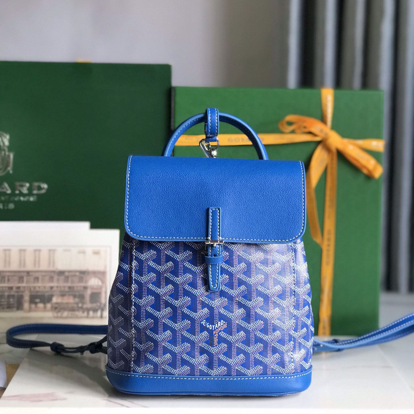 Go*ard backpacks